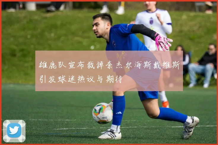 雄鹿队宣布裁掉奈杰尔海斯戴维斯引发球迷热议与期待