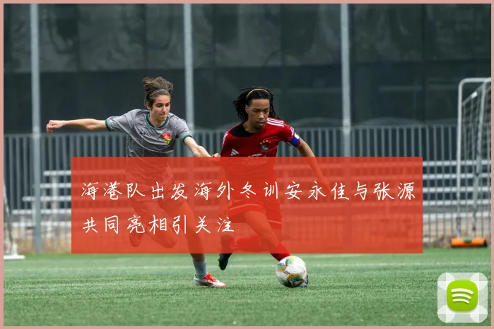 海港队出发海外冬训安永佳与张源共同亮相引关注