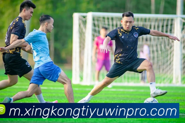 多媒体互动体验